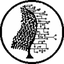 DaJadeNinja-SkillFern-1.2.0 icon