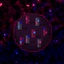 DemonMae-Halation_moon-1.1.1 icon