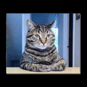 DiceLegion-DiceLegionLCModpackV2 icon