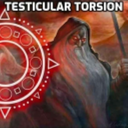 Dirtishurt-TesticularTorsion-1.0.2 icon