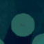 DitDotDash-DontShootUp-1.0.0 icon