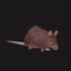 DomoModTeam-SpiningRat-1.0.0 icon