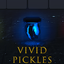 DungeonMasterMP3-VividPickles-1.0.0 icon