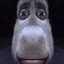 EManMods-StupidPics-1.0.0 icon