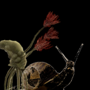 Eiterbrocken-FloodSnail-1.0.0 icon