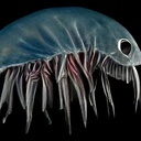 Elecjonics-Exterminator-1.0.0 icon