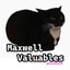 EverSkiesVR-Maxwell-0.0.1 icon