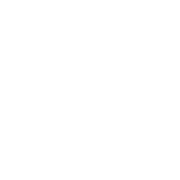 F1Fun-SCPCompanyModpack icon