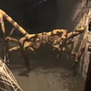 Fandovec03-ExperimentalEnemyInteractions-0.1.17 icon