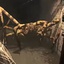 Fandovec03-ExperimentalEnemyInteractions-0.5.19 icon