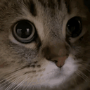 Fangsly-Fangsly_Modpack-3.0.2 icon