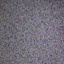Fate6342-Analog_Horror_Speech_NoMusic icon