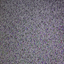 Fate6342-Analog_Horror_Speech_NoMusic-1.0.0 icon