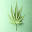Fate6342-Smoke_flea_Everyday-1.0.1 icon