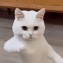 FeelsDankMan-Frenni_Models-1.0.3 icon