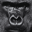 Flames_Gaming999-Flames_Flaming_Videos-1.0.5 icon