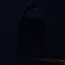 FlockOfCrows-RobeStalker-1.4.0 icon