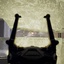 Flowaria-BetterDoorBulletCollision-1.0.0 icon