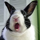 Fody55-GTFO_BringBackBunnyHop-2.0.0 icon