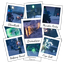 FortunesTeam-Skillsmas-1.3.8 icon