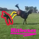 Fotten-HorseMod-0.25.2 icon