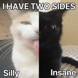 Fundryi-SillyCatPack icon
