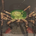 Gameboy_Alex-GameboyAlexSpider icon