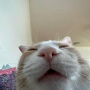 GarStudios-Cat_Robe-1.0.1 icon