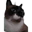 GatekeeperCat-Cat_s_Refunkfied_ModPack-0.1.0 icon