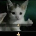 GatoStudio-Old_Ruins_Serhun icon