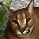 Gatohost-PetFloppa-1.0.0 icon