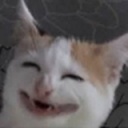 Genosaurus-BoomboxMemeMusic-0.1.0 icon