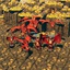 Gonsplitters-Gonsplitters_Red_Dragons-1.0.1 icon