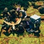 Gonsplitters-Monster_Manual_Monstrosities_2-1.0.1 icon