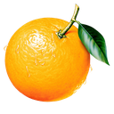 GrappleChapel-ThiccApporangeNightmare icon