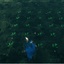 Grizzzly-MassFarming-1.12.0 icon
