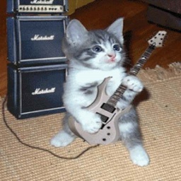 Gueboz-GuitarPlus icon