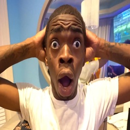 Guto-DaFeGu icon