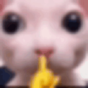 HAMINPANTS-LethalVocabulary-0.2.7 icon