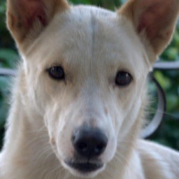 HKN-Susyal icon