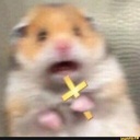 Hamster-HamsterPackREPO icon