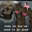Hero_brain124-GiantSuit-1.0.0 icon