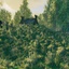 Horem-Biome_Flora-1.0.12 icon
