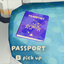 Icebox-IForgorPassport-1.0.0 icon