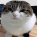 Ikaros-IK_Modpack icon