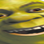 ImZeraora-LowQualityShrek-1.0.1 icon