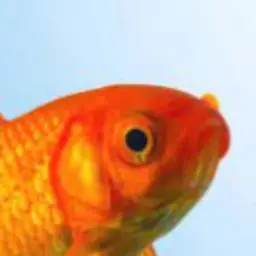 Insane_Idiots-fishs_modpack icon