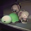 ItsEmul-NeuroEvilVedalPlushies-1.4.1 icon