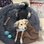 JMC-Milo_Pack-1.1.0 icon