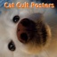 Jack67119-CatCultPosters-1.0.0 icon